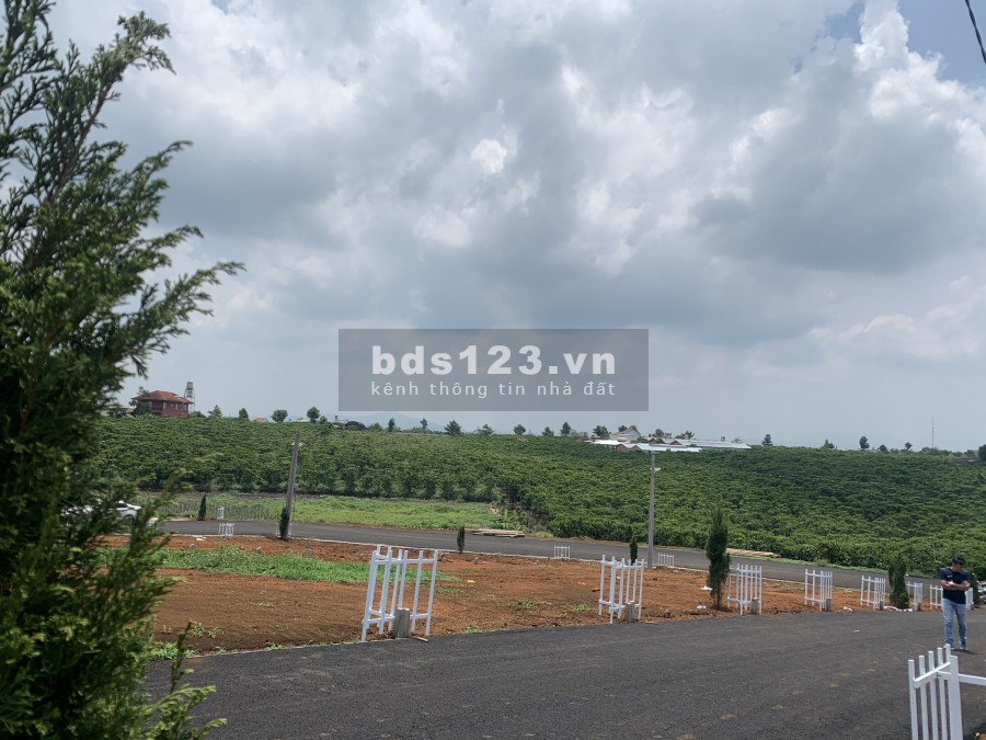 Đất sau chợ lộc phát diện tích 200m2 giá 1,5 tỷ