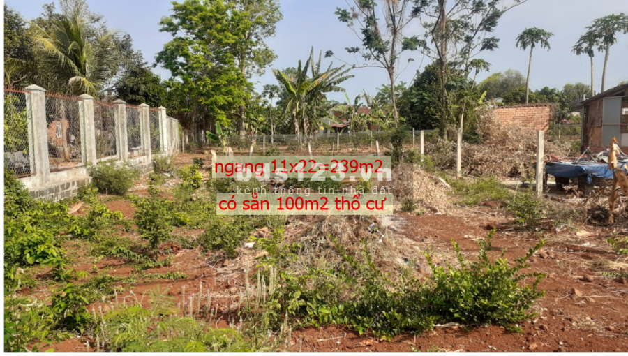 Bán lô đất mặt tiền đường nhựa phan đăng lưu -thị trấn đất đỏ-brvt