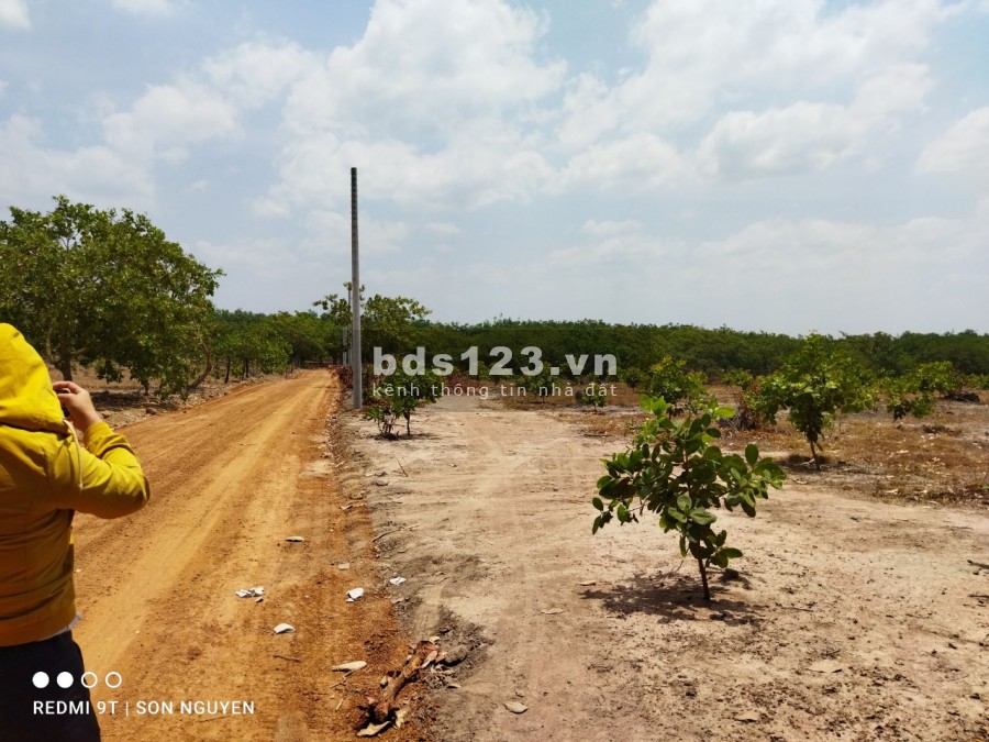 Đất An Phú Bình Phước 1000m2 giá rẻ sổ sẵn