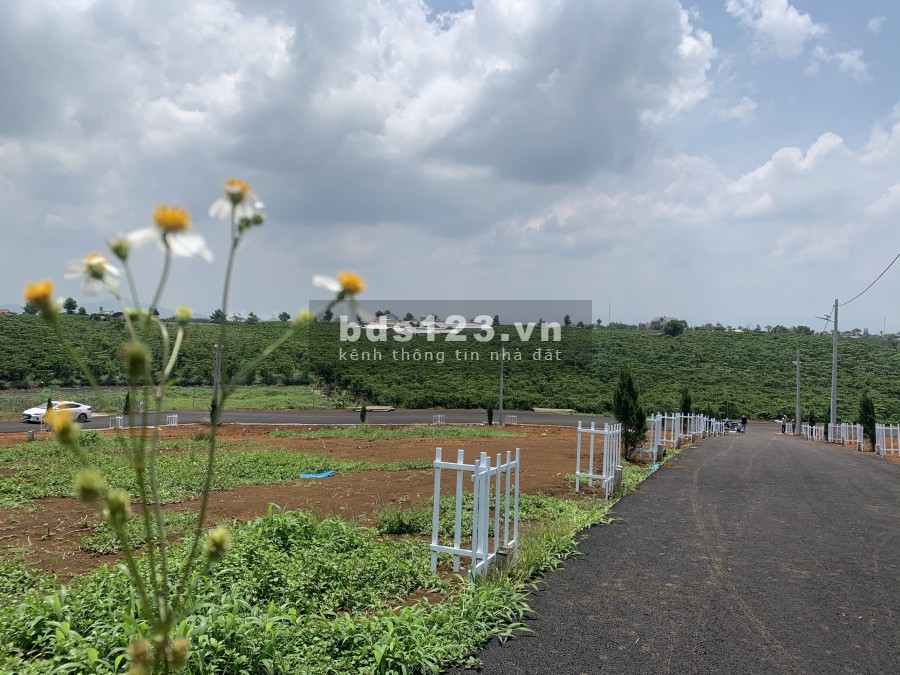 Đất sau chợ lộc phát diện tích 200m2 giá 1,5 tỷ