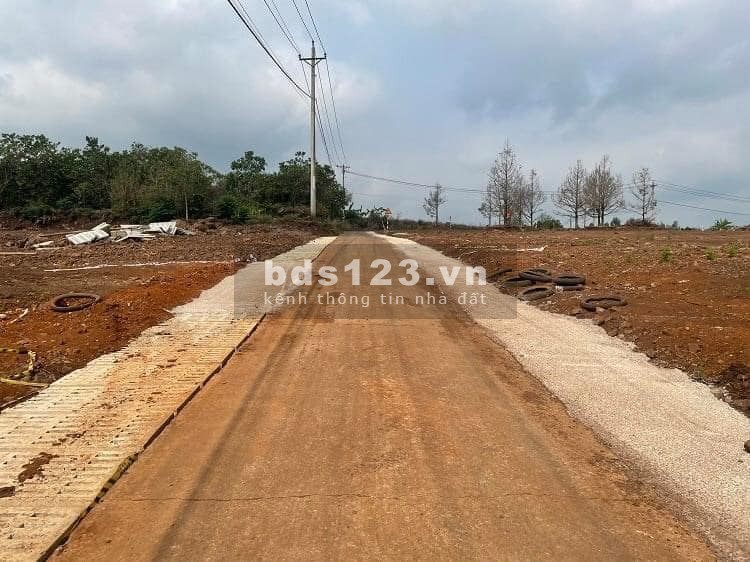 Có 280 Triệu Nên Đầu Tư Đất Ở Đâu, Để Sinh Lời Cao