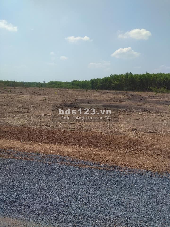 Có 280 Triệu Nên Đầu Tư Đất Ở Đâu, Để Sinh Lời Cao
