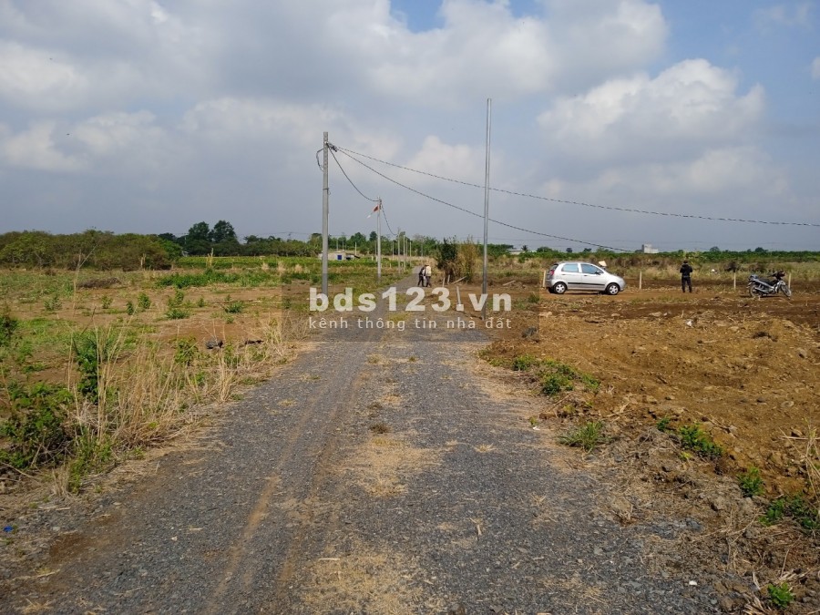 Cần tiền bán gấp vườn mít thái 1000m2 xã Hưng Thịnh, huyện Trảng Bom cách QL1A 2km