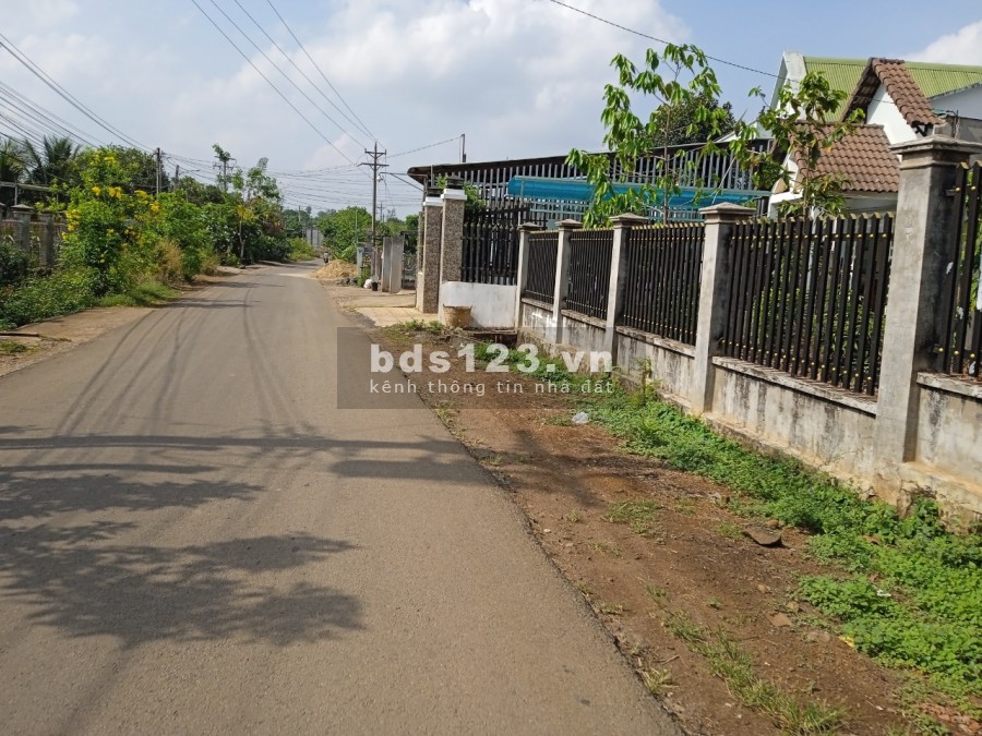Cần tiền bán gấp vườn mít thái 1000m2 xã Hưng Thịnh, huyện Trảng Bom cách QL1A 2km