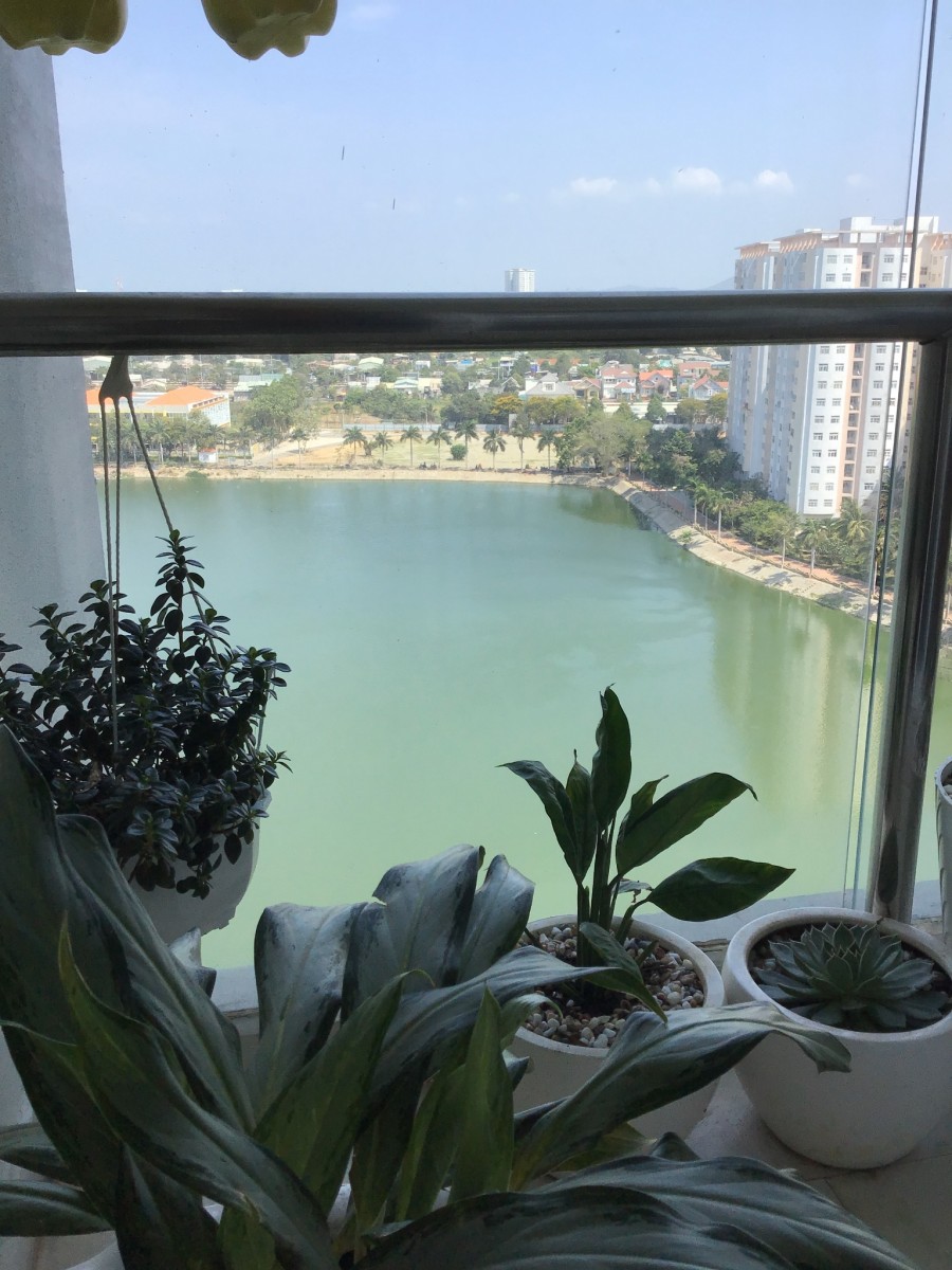 Bán căn hộ 3PN CHCC DIC PHOENIX, view biển và hồ cực đẹp, tầng trung mát mẻ. LH 0947 070 986: Hoàng Vũ