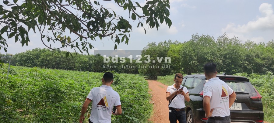 Dự án Tân Hiệp 168 – Hơn 1000m2 chỉ hơn 300 triệu