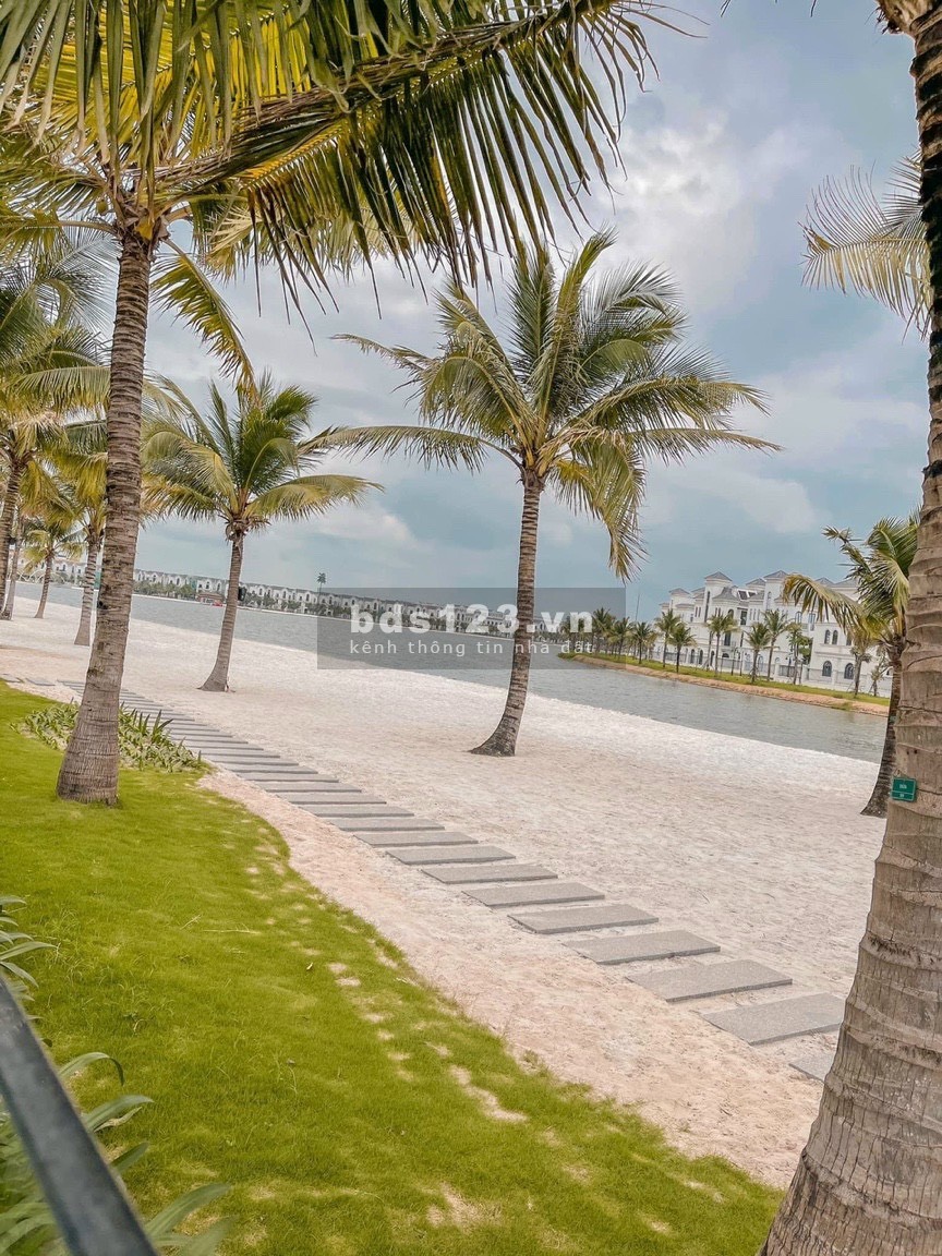 Shop thương mại dịch vụ Vinhomes Ocean Park 307M Sao Biển kinh doanh đỉnh 0817222333