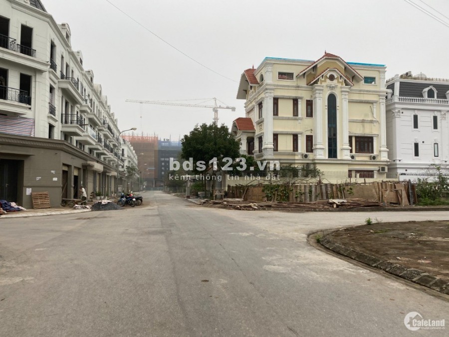Bán đất Biệt thự khu 31ha Trâu Quỳ -258m2 gần vườn hoa Shophoues. 0982852808