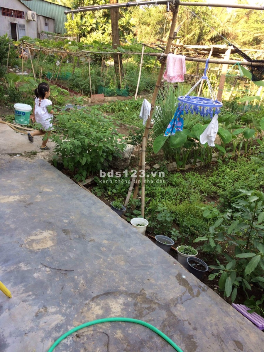 Bán lô đất 32m2 mặt 3.6m ngõ 2 oto lọt, KD sầm uốt, đường Xuân Đỉnh ngõ thông NGĐ giá 3.25 tỷ lh xem đất: 098733911.