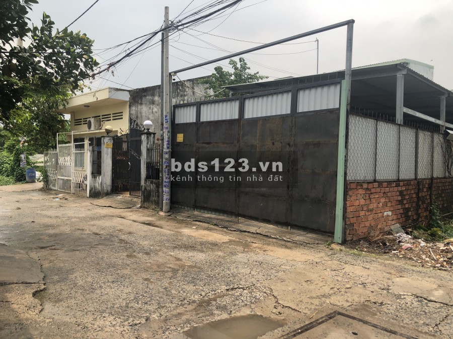Nhà nguyên căn thêm kho 100m2, thích hợp làm văn phòng công ty, nhà xưởng