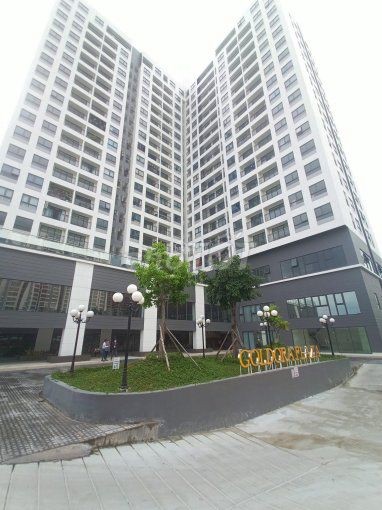 Bán Chung Cư Goldora Plaza 26, Đường Lê Văn Lương, Xã Phước Kiển, Nhà Bè 68M2