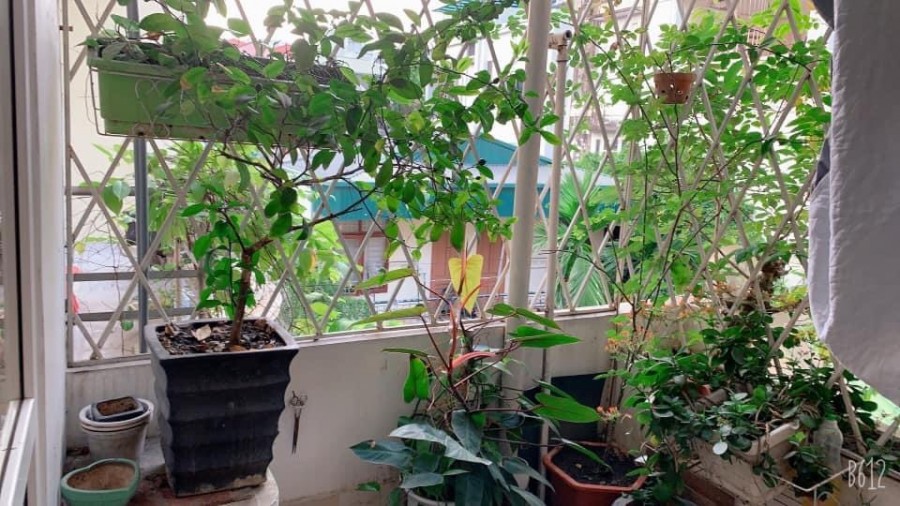 Thái Hà ( Đống Đa) 60M2 x MT: 4.5m x 5 ngủ, Trung Tâm Đống Đa, Ô tô đỗ cửa, Kinh Doanh cho Thuê Đỉnh.