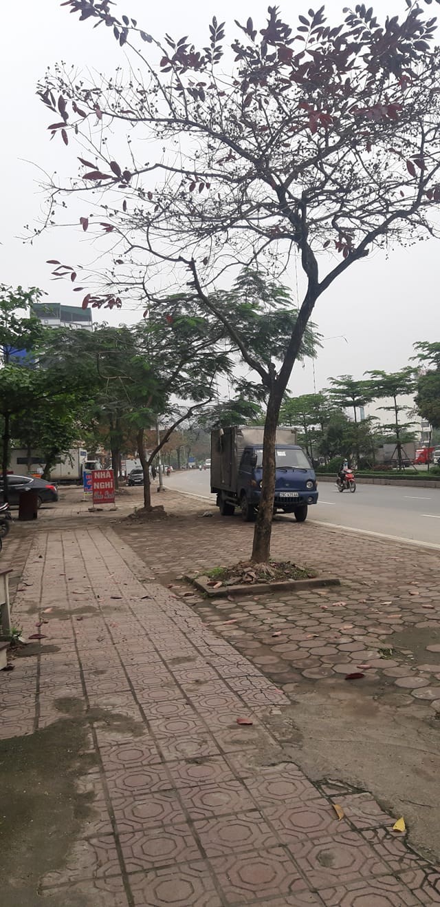 Bán Đất Dương Nội dt 50m2 Oto Vào Nhà Trí Đẹp Trục Chính Thông Aeon Giá Tốt Nhất Để ở Lẫn Cả Đầu Tư Luôn