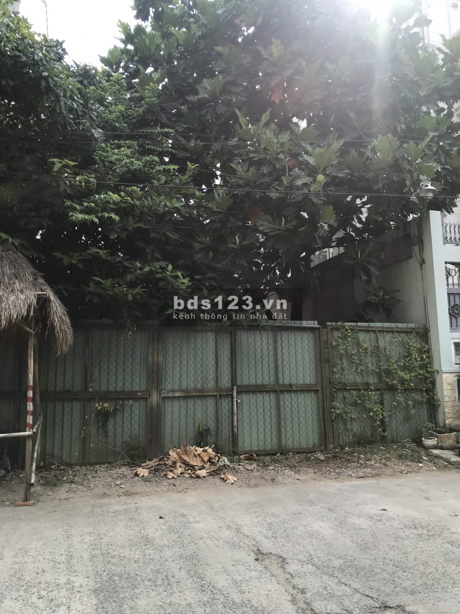 Bán nhanh lô đất 222m2 đường Nội Bộ Xuân Thuỷ, Thảo Điền