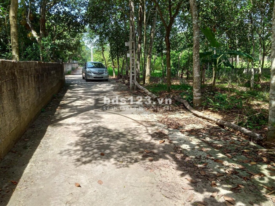 CHƯA ĐẾN 2TỶ CÓ NGAY LÔ GÓC 520M tại CỔ ĐÔNG SƠN TÂY HÀ NỘI