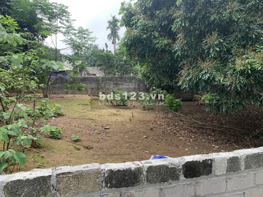 CHƯA ĐẾN 2TỶ CÓ NGAY LÔ GÓC 520M tại CỔ ĐÔNG SƠN TÂY HÀ NỘI
