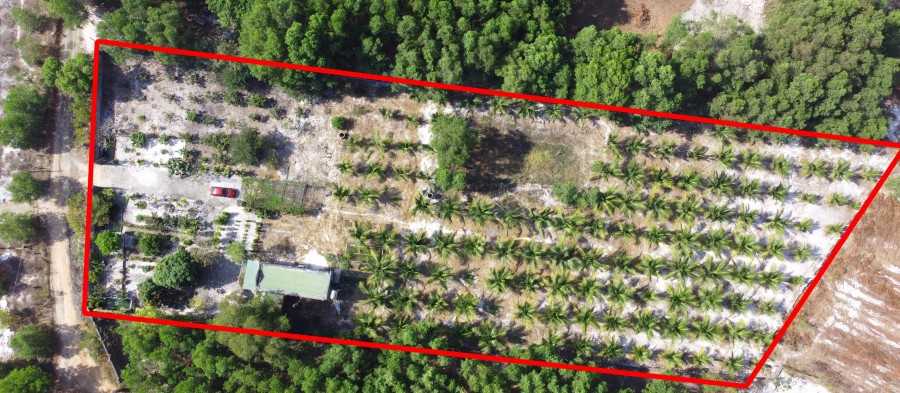 Cần bán lô đất tại Thị xã La Gi, Bình thuận. Gần biển, DT: 45m x 125m, đường xe tải