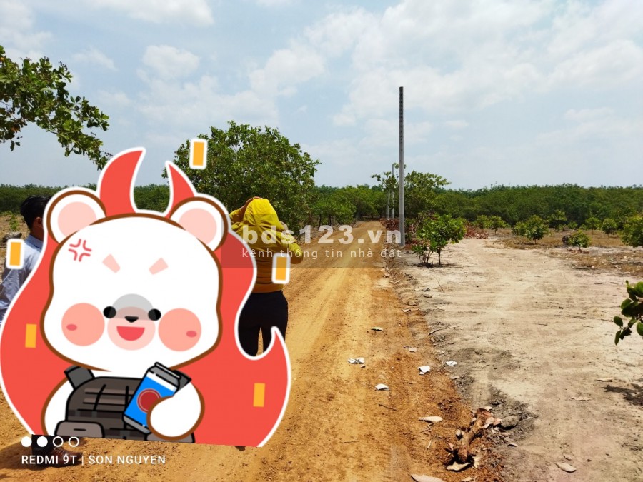 Bán Đất thị xã Bình Long 295tr/1000m2 giá T4/2021