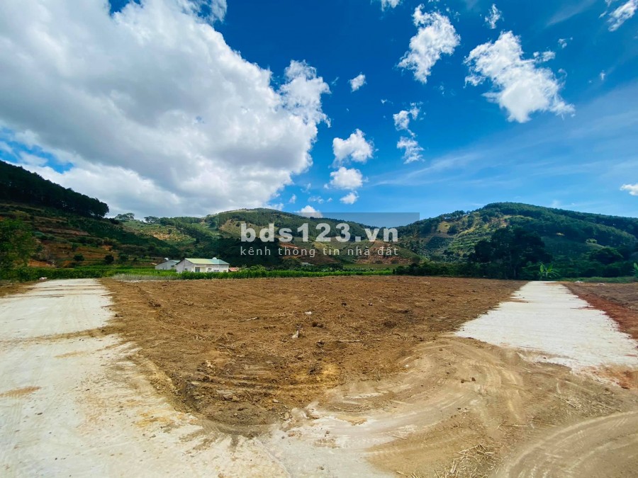 BÁN LÔ ĐẤT 1.2 TRIỆU/M2 VIEW ĐỒI THÔNG VEN ĐÀ LẠT
