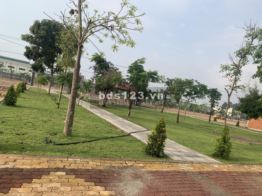 BÁN ĐẤT NẰM NGAY QL13 CÁCH TTHC BÀU BÀNG 1KM