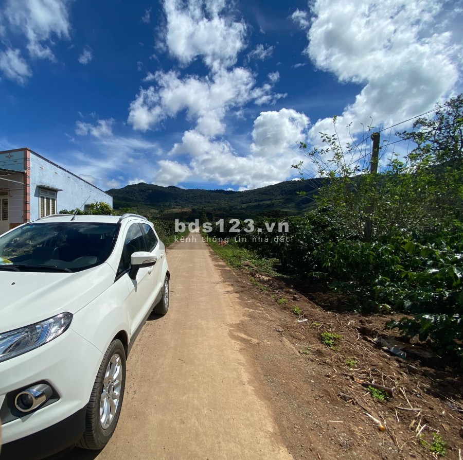 BÁN LÔ ĐẤT 1.2 TRIỆU/M2 VIEW ĐỒI THÔNG VEN ĐÀ LẠT