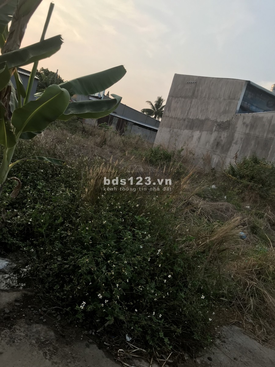 Bán đất thổ cư ở gần ngã ba sông thao đi dô 200m