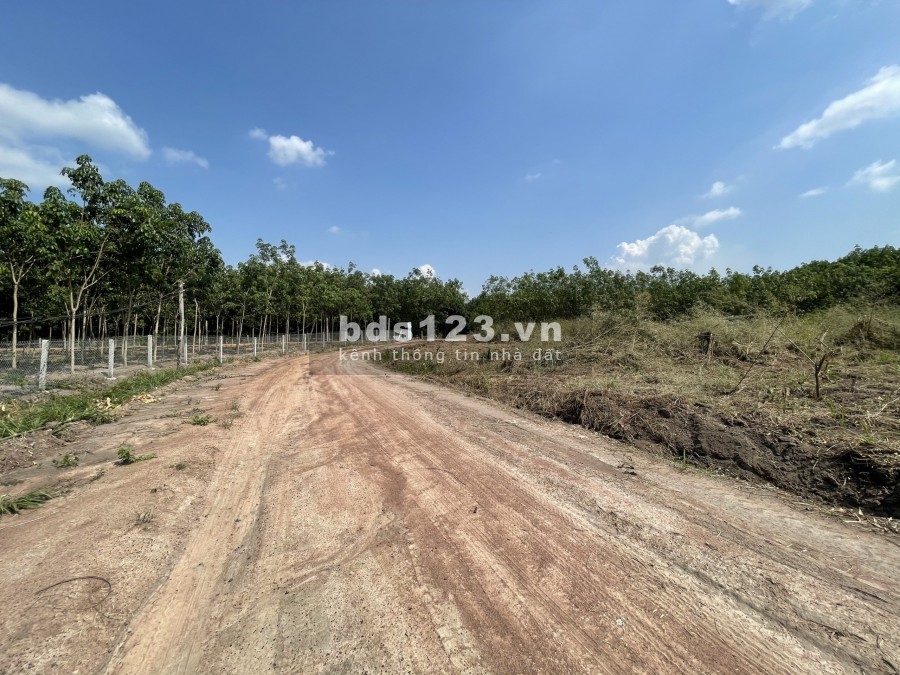Đất Hớn Quảng giá rẻ sổ sẵn 1000m2
