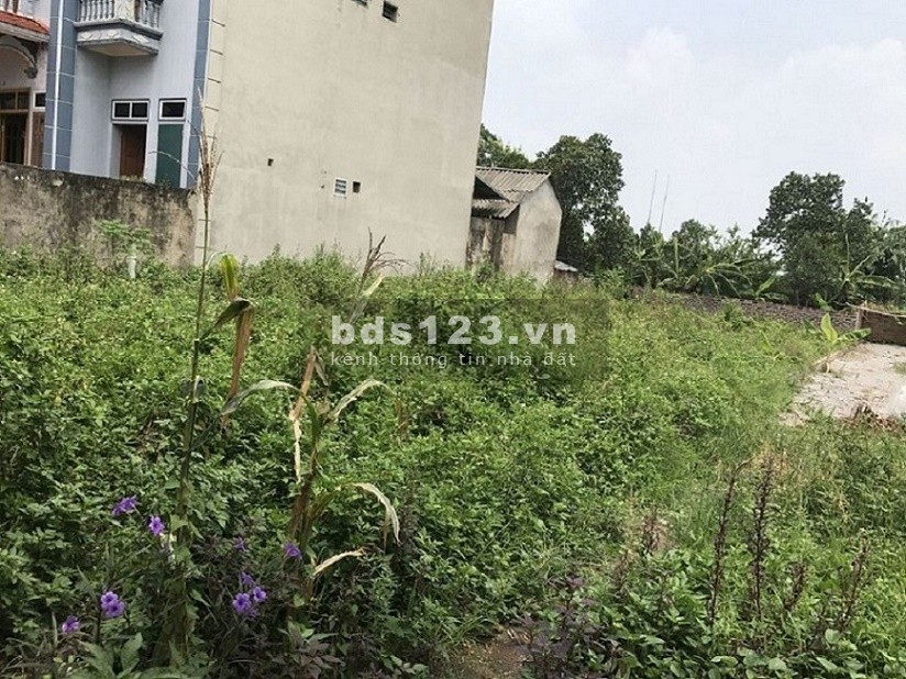 Tôi bán mảnh đất Xuân Phương, sổ đỏ, 50m2, 1.4 tỷ