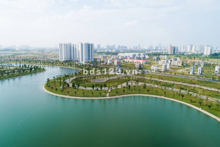 Siêu biệt thự shophouse 300m2 đường trục Thanh Hà Cienco 5 chính chủ bán