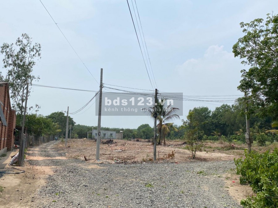 Bán đất Tân HIệp Tân Châu Tây Ninh