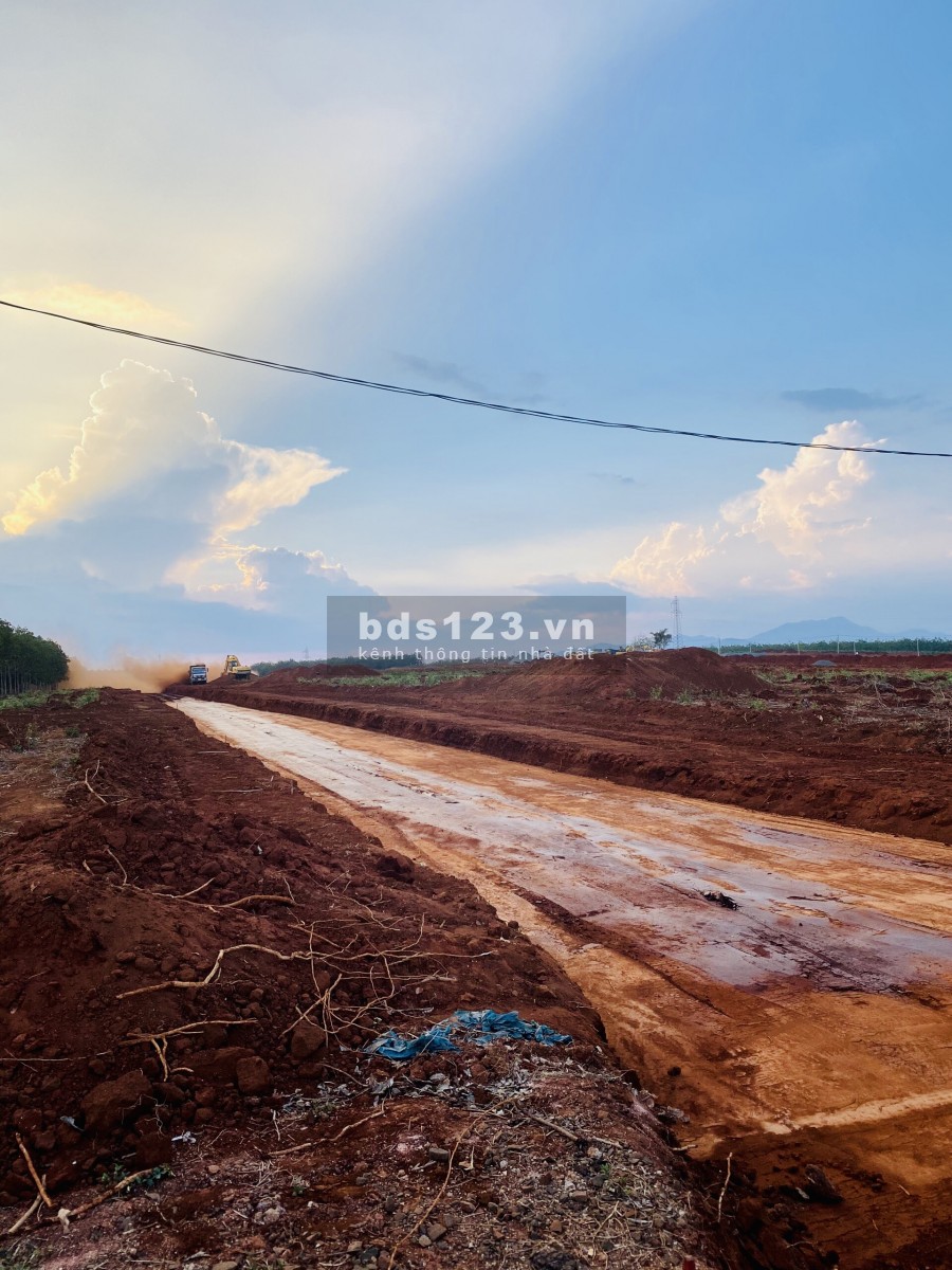 BÁN ĐẤT MT ĐƯỜNG TRẦN HƯNG ĐẠO, ĐAK ĐOA GIA LAI, DT 210M2 GIÁ 6,3TR/M2. SHR – LH 0988939903