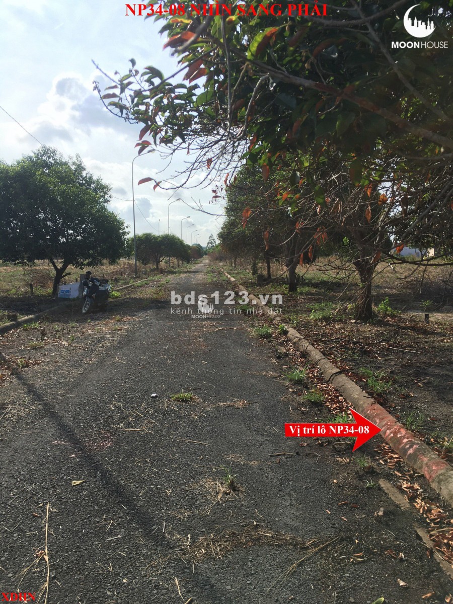BÁN ĐẤT DỰ ÁN XDHN, XÃ LONG THỌ, HUYỆN NHƠN TRẠCH