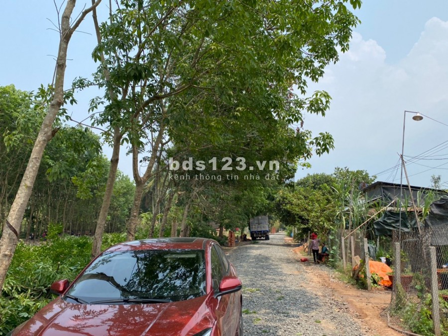 Chỉ 385tr là đã có hơn 1000m2 đất Tân Hiệp, Tân Châu, Tây Ninh