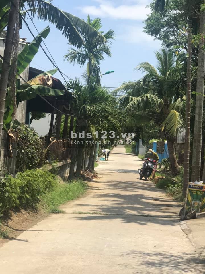 Cần Tiền bán nhanh lô đất kiệt Hòa Qúy đường Mai Đăng Chơn Hòa Qúy Đà Nẵng giá 1 tỷ 4