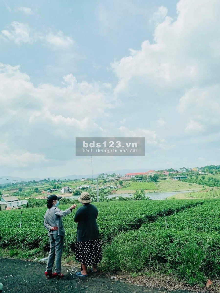 BÁN 800M2 ĐẤT NGHỈ DƯỠNG VIEW SUỐI NAM BAN, LÂM HÀ, 1.1 TRIỆU/M2