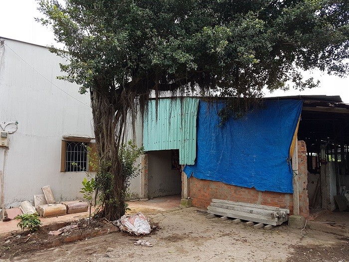 Chính chủ sang gấp 1005m2 đất mặt tiền đường 8m ở Tân Thạnh Đông, Củ Chi giá chỉ 4,5tr/m2