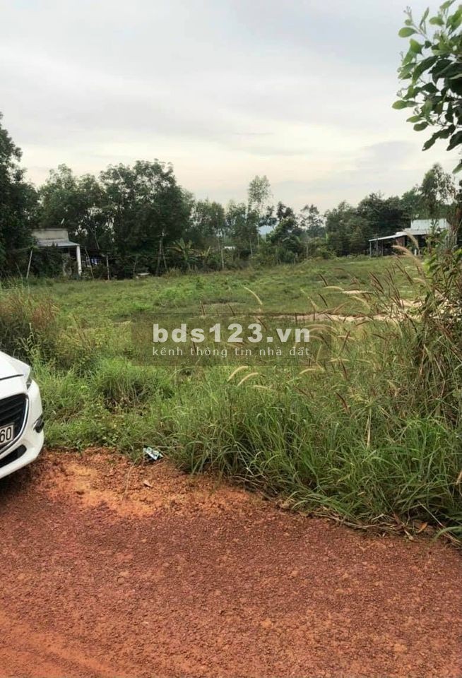 Bán đất BÌnh Phước chính chủ giá rẻ chỉ 2xx/1 sào tại Hớn Quản