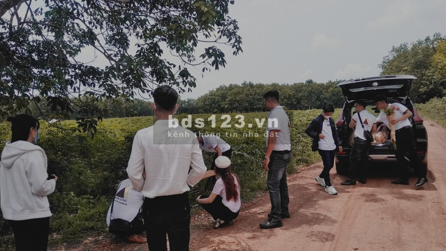 Còn vài nền giá rẻ tại Tây Ninh cần bán nhanh