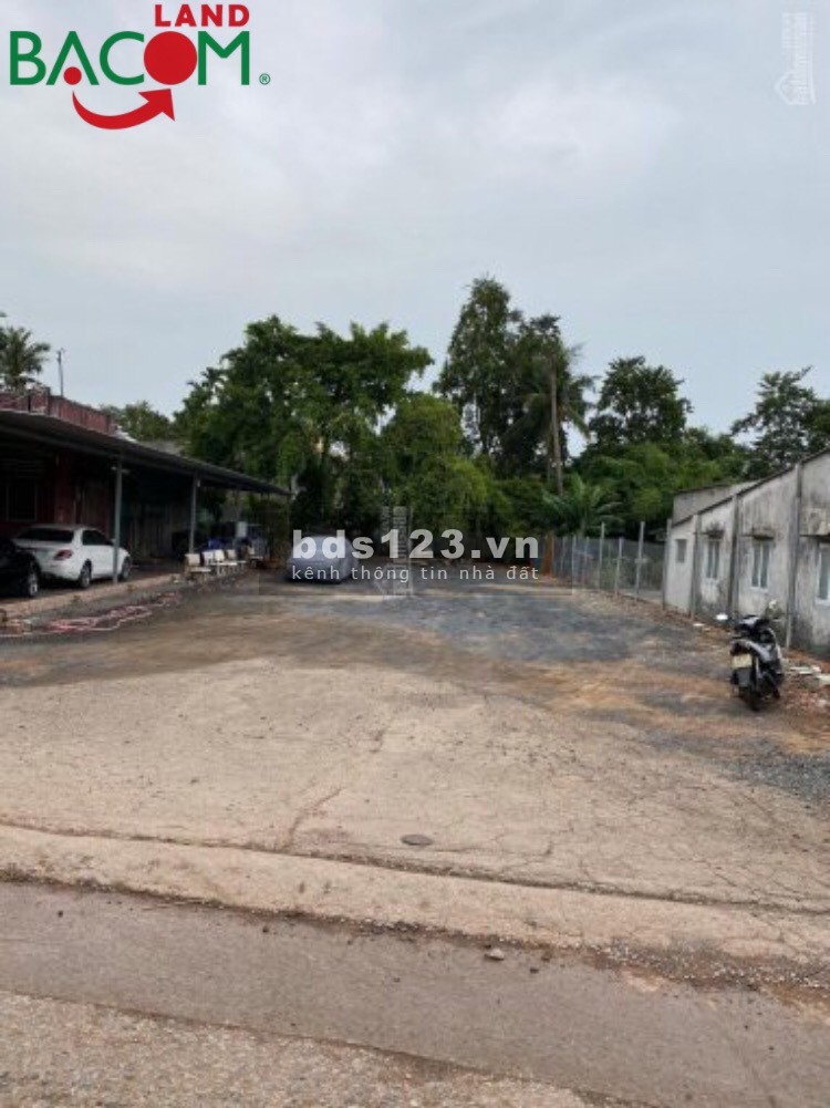 BÁN LÔ ĐẤT SHR P. AN BÌNH CÁCH ĐƯỜNG TRẦN QUỐC TOẢN 100M