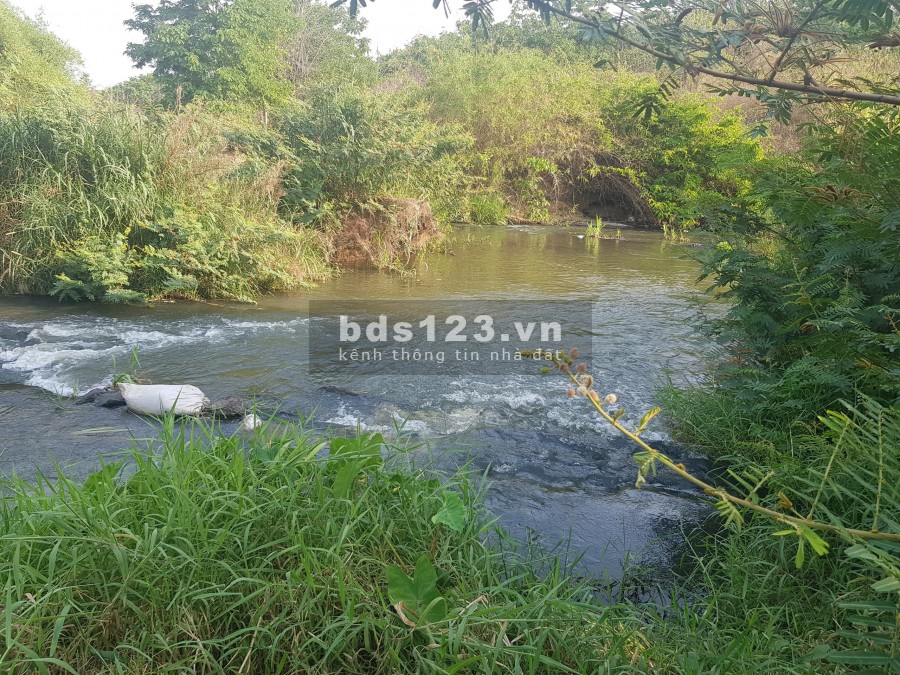 Siêu phảm đất view suối thác chỉ 130 triệu/1000m2