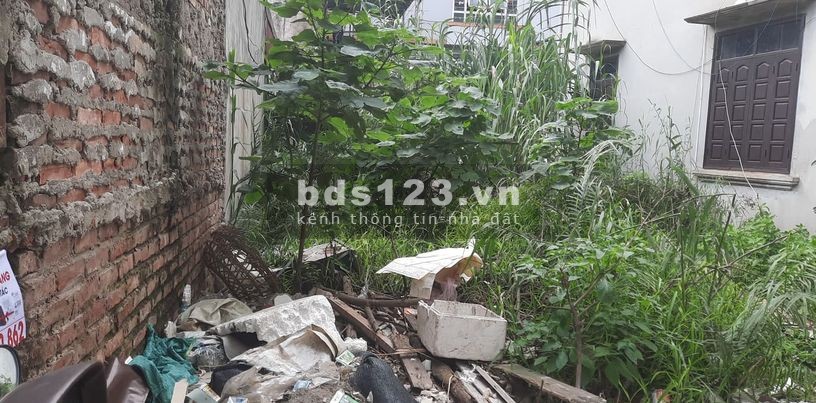 Bán đất Cầu Diễn, phân lô, ngõ thông, Ô tô qua, DT 50m2, giá 63tr/m2