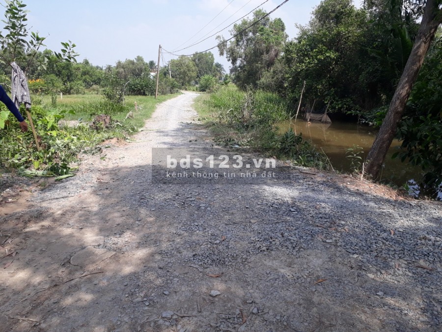 5200 m2 đất xã Tân Bửu ,huyện Bến Lức,Long An thích hợp nghỉ dưỡng