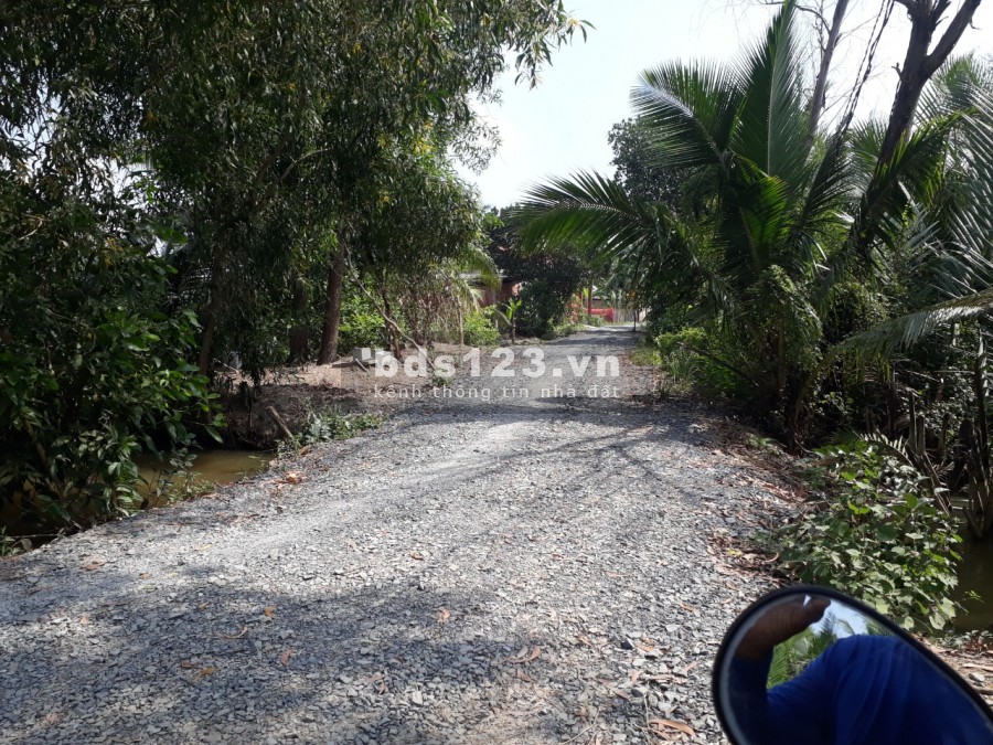 5200 m2 đất xã Tân Bửu ,huyện Bến Lức,Long An thích hợp nghỉ dưỡng