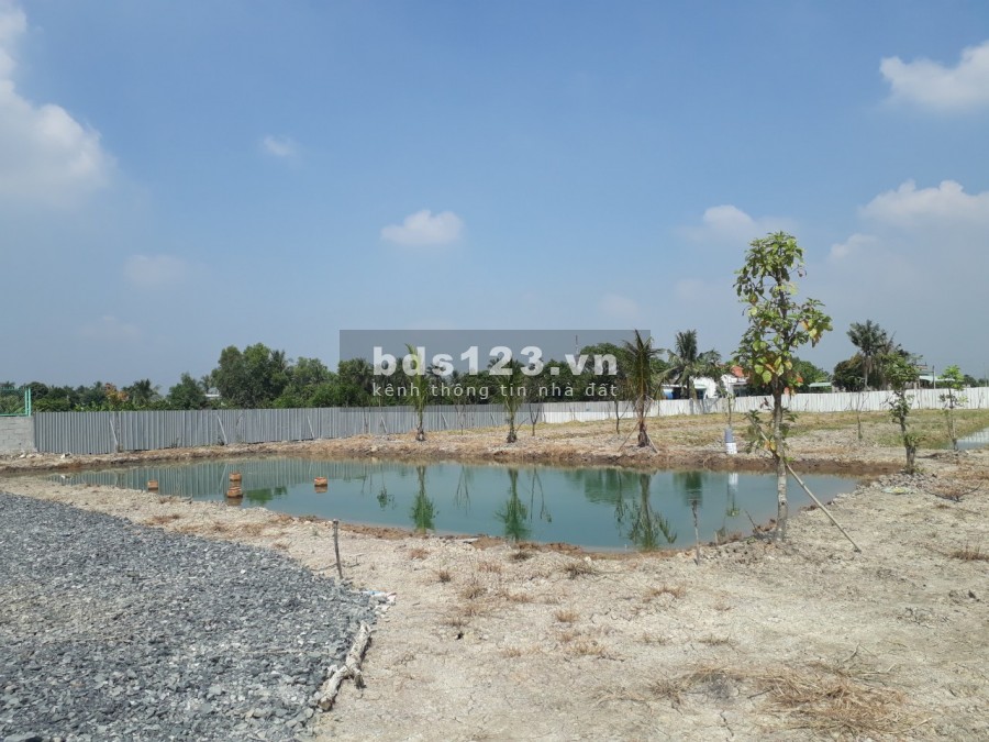5200 m2 đất xã Tân Bửu ,huyện Bến Lức,Long An thích hợp nghỉ dưỡng