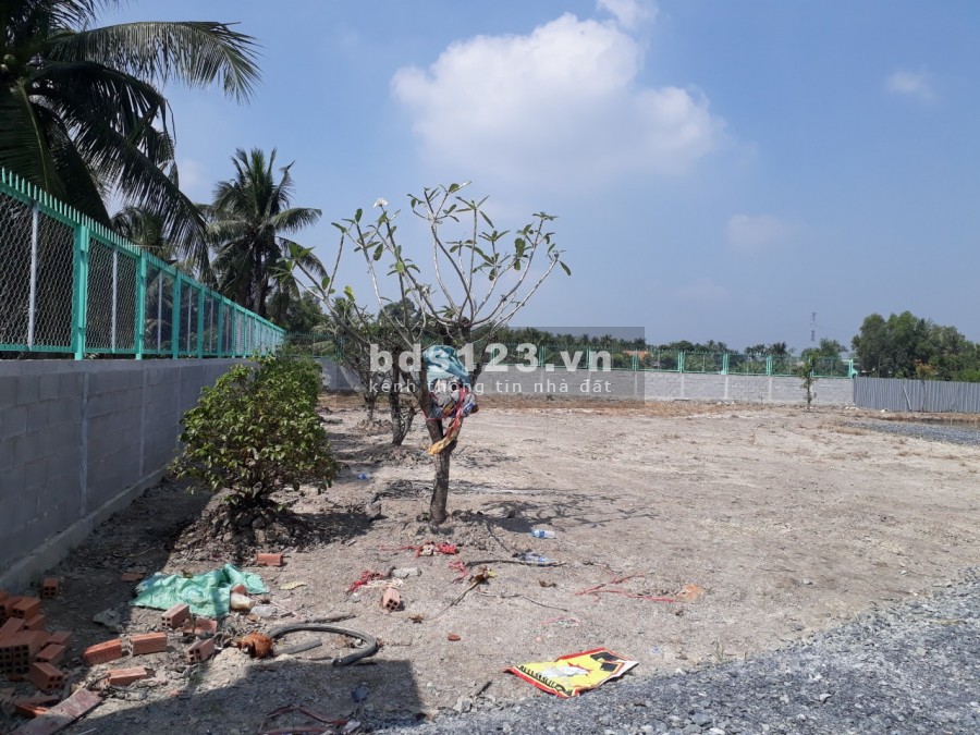 5200 m2 đất xã Tân Bửu ,huyện Bến Lức,Long An thích hợp nghỉ dưỡng