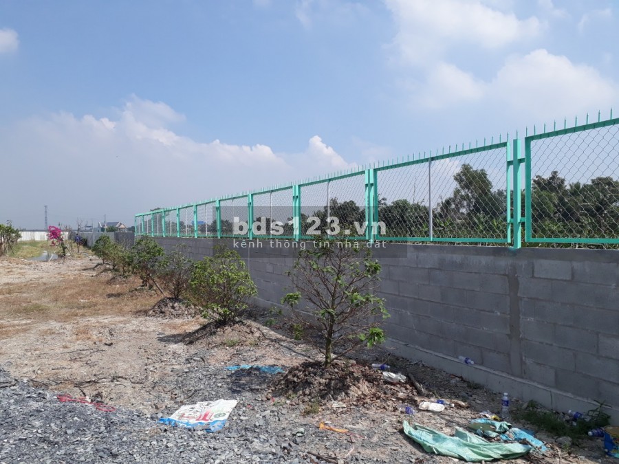 5200 m2 đất xã Tân Bửu ,huyện Bến Lức,Long An thích hợp nghỉ dưỡng