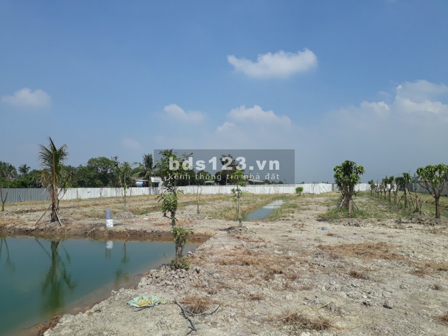 5200 m2 đất xã Tân Bửu ,huyện Bến Lức,Long An thích hợp nghỉ dưỡng