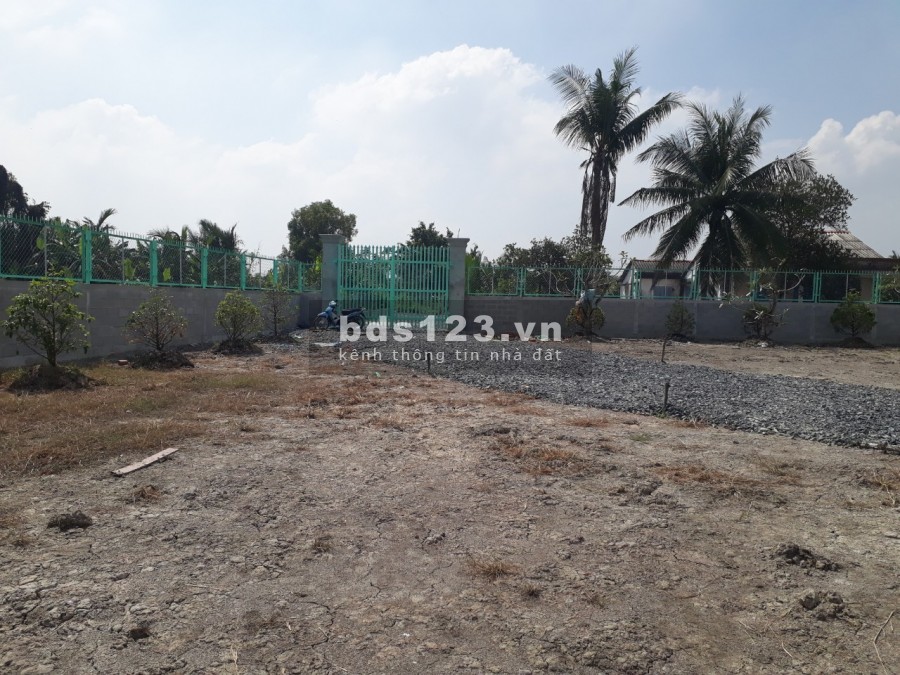 5200 m2 đất xã Tân Bửu ,huyện Bến Lức,Long An thích hợp nghỉ dưỡng