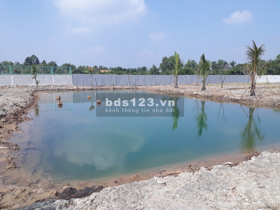 5200 m2 đất xã Tân Bửu ,huyện Bến Lức,Long An thích hợp nghỉ dưỡng