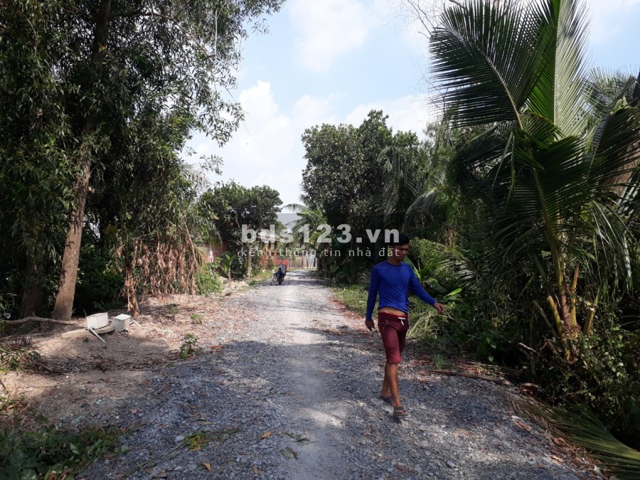 5200 m2 đất xã Tân Bửu ,huyện Bến Lức,Long An thích hợp nghỉ dưỡng
